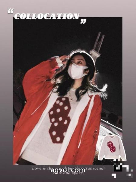 Stussyステューシー海馬毛サイコロセーター 3
