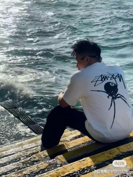 STUSSYスーパー コピー豊富なサイズ 人気確定 海外限定モデル 半袖Tシャツ 0