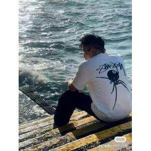 STUSSYスーパー コピー豊富なサイズ 人気確定  海外限定モデル 半袖Tシャツ